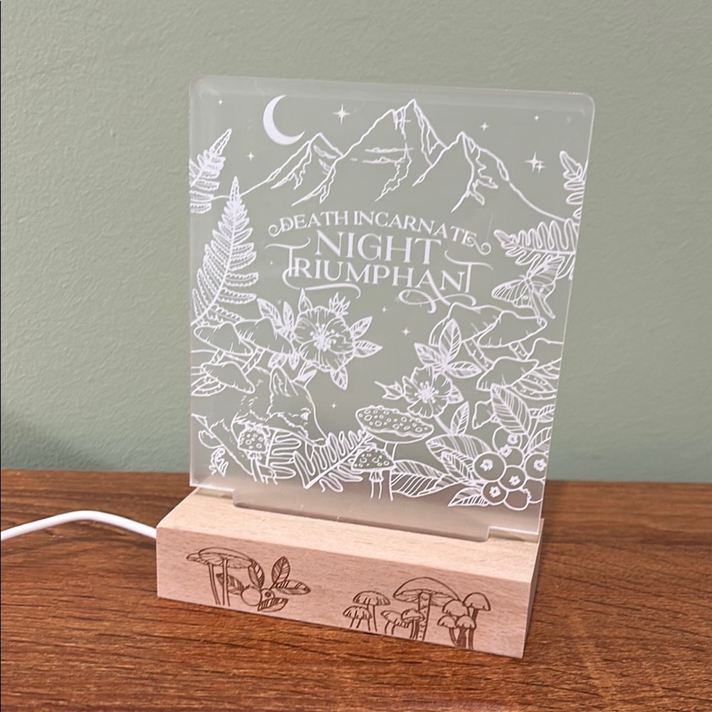 A Court of Thorns and Roses light up display board limited edition Owl Crate box